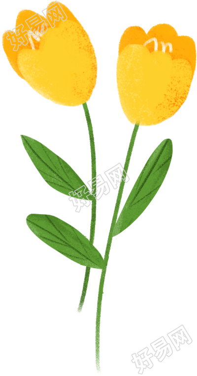 花卉