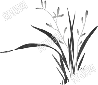 植物