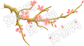 梅花