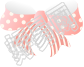 蝴蝶结