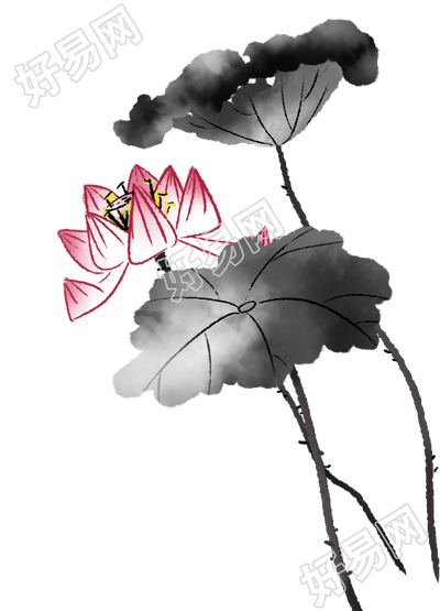 荷花水墨画
