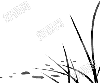 芦苇