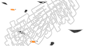 海鸥