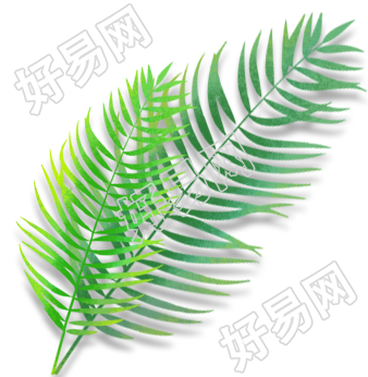叶子