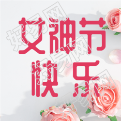 淡粉色玫瑰女神节快乐微信公众号次图