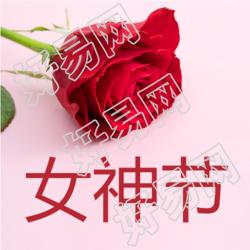 女神节单支漂亮红玫瑰微信公众号次图