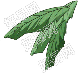叶子