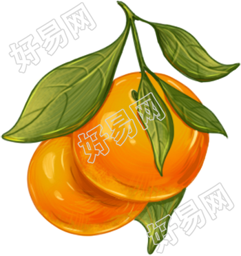 橙子