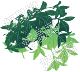 植物/叶子