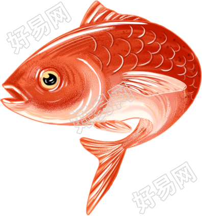 鱼