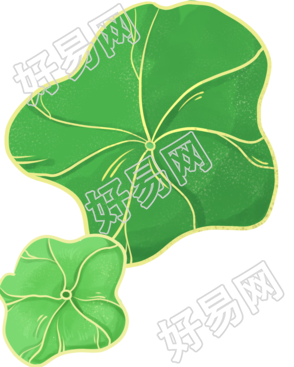 荷叶