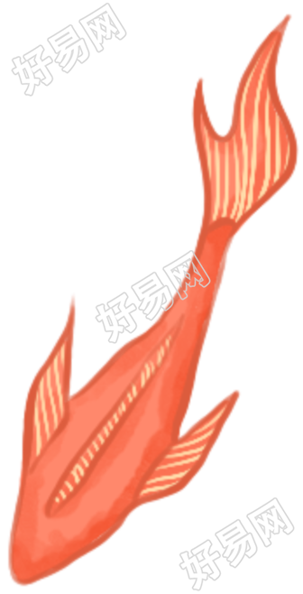 鲤鱼