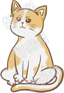 猫咪