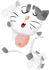 猫咪