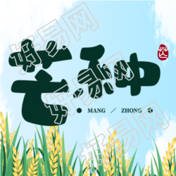 手绘颗粒饱满的小麦芒种节气微信公众号次图