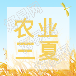 亮色系农业三夏田野蜻蜓微信公众号次图