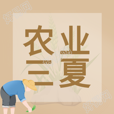 棕色系农业三夏插秧的农民微信公众号次图