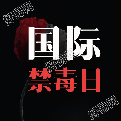 简约罂栗花国际反毒品日微信公众号次图