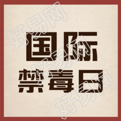 国际禁毒日简约宣传微信公众号次图