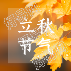 立秋节气黄色树叶实景简约微信公众号次图