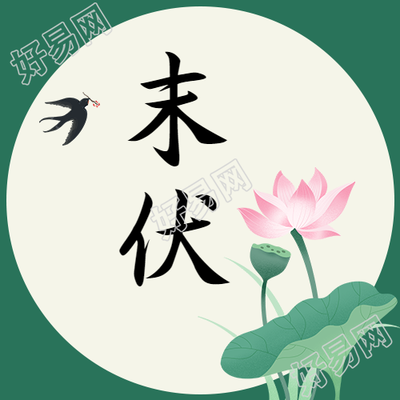 国风荷花荷叶末伏时节微信公众号次图