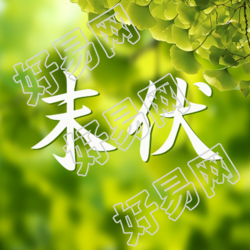 末伏节气夏日绿色银杏叶微信公众号次图