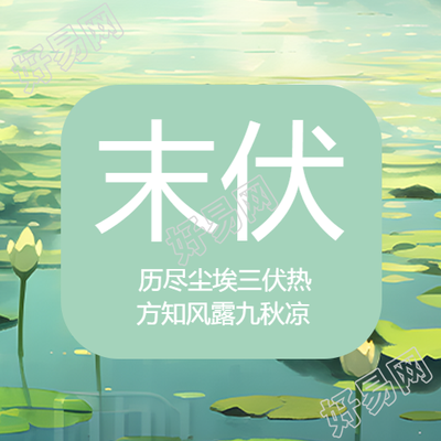 简约荷叶末伏时节早晚清凉微信公众号次图