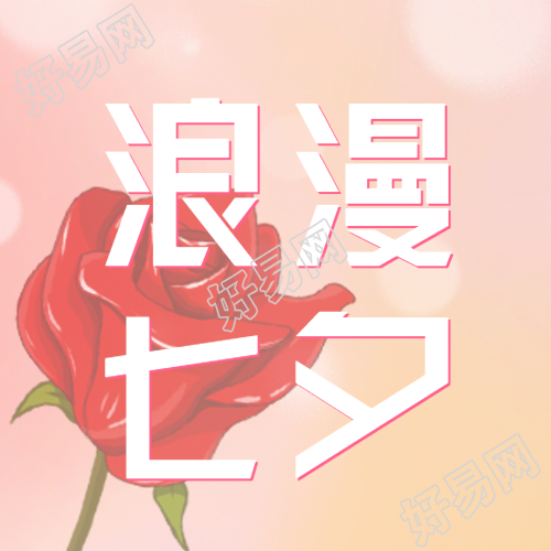 浪漫单支红玫瑰七夕节快乐微信公众号次图