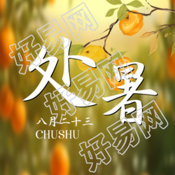 处暑时节秋日黄橙橙柿子微信公众号次图