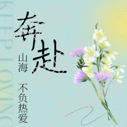 唯美鲜花花束奔赴山海微信公众号次图