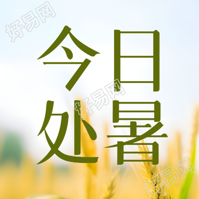 今日处暑小麦丰收美景微信公众号次图