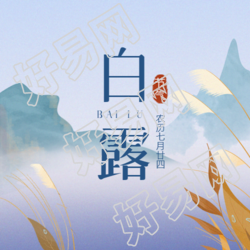 黄色芦苇青色远山白露24节气微信公众号次图