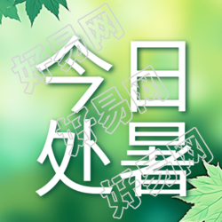 今日处暑小清新绿色枫叶微信公众号次图