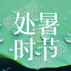 二十四节气处暑荷叶露珠简约微信公众号次图