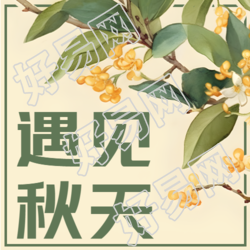 小清新桂花遇见秋天微信公众号次图