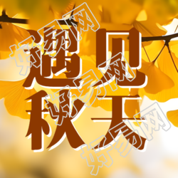 在秋天遇见最美的季节微信公众号次图