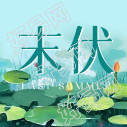 翠绿荷叶夏日末伏池塘风光微信公众号次图