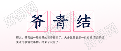爷青结网络热词释义田字格首图