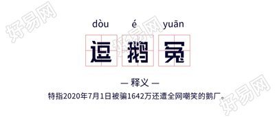 逗鹅冤网络热词释义拼音田字格海报