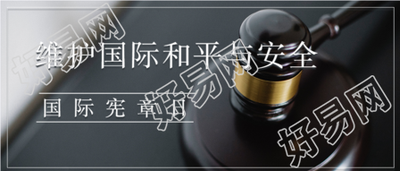 国际宪章日法槌实景法律法规首图