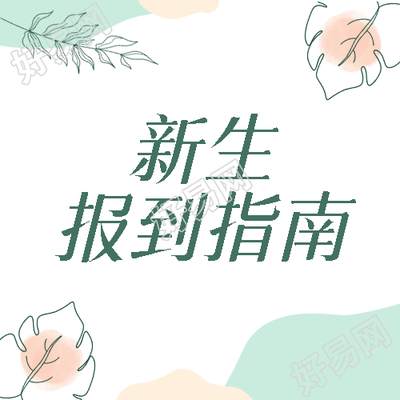 绿色简约线条叶片新生报到指南微信公众号次图