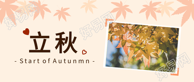 枫叶元素爱心立秋秋天枫树首图