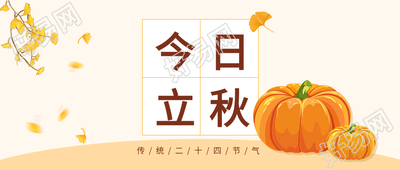 银杏叶子南瓜传统节气立秋首图