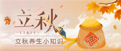 枫叶稻谷丰收立秋节气养生公众号首图