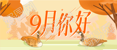 秋天树木黄叶大雁九月你好公众号封面图