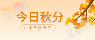 今日秋分传统节气银杏叶日落大雁公众号首图