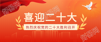 不忘初心喜迎二十大城市剪影红旗和平鸽公众号首图