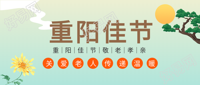 重阳佳节敬老孝亲菊花祥云太阳松树公众号首图