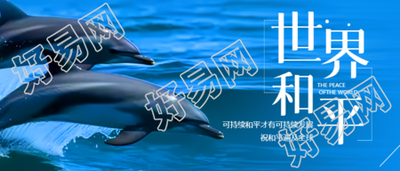 国际和平日全球停火纪念日微信公众号首图