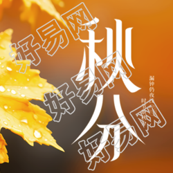 黄色枫叶实景24节气秋分微信公众号次图